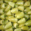 We sell the HOT variety of Yellow chile's