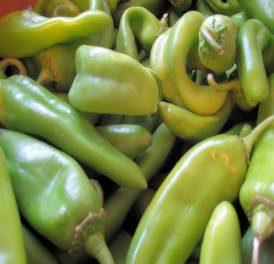 The freshest Hatch chile you will find in California